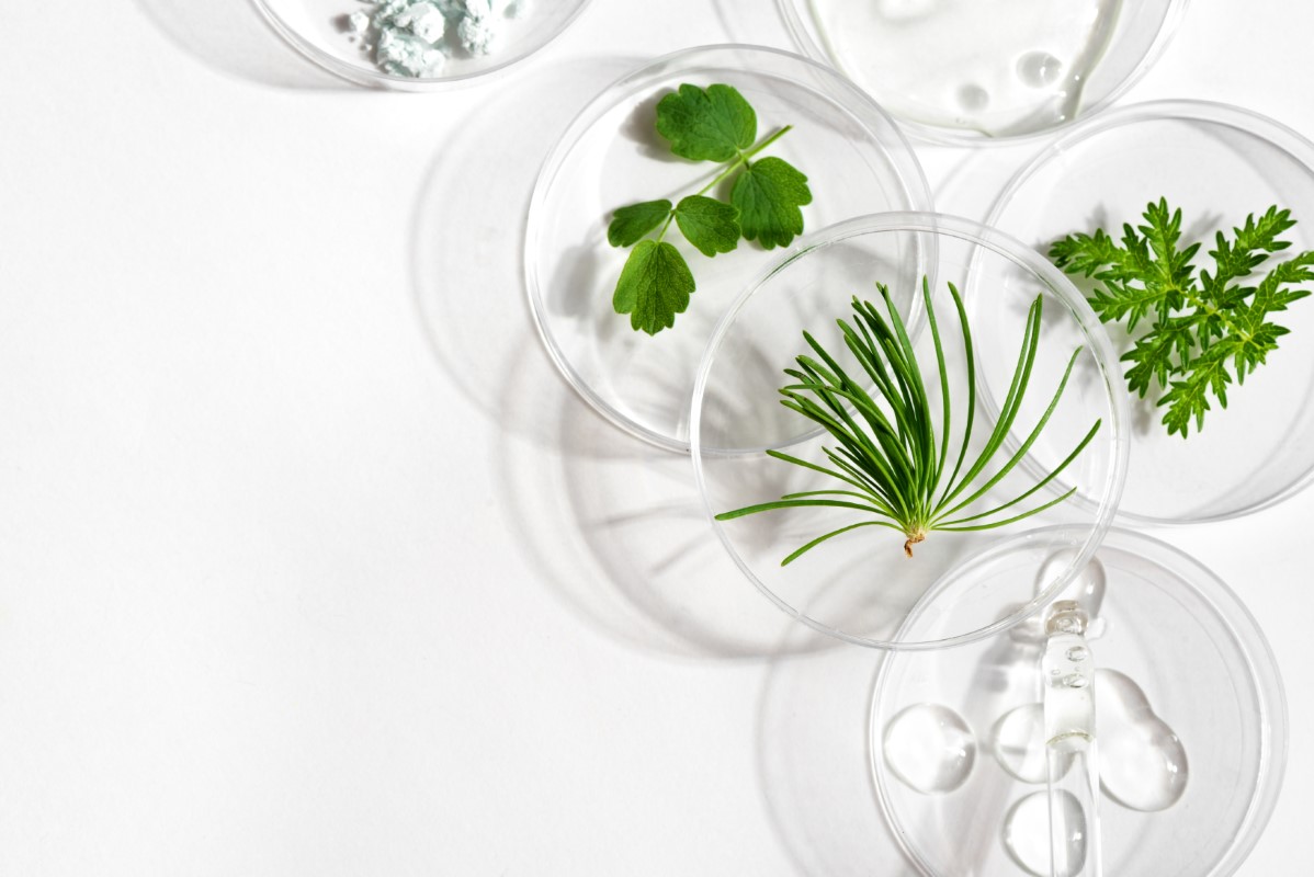 La montée en puissance des actifs naturels